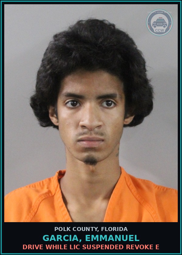 Booking mugshot of GARCIA, EMMANUEL in Polk County