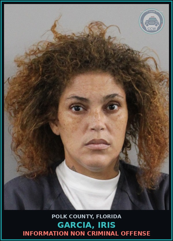 Booking mugshot of GARCIA, IRIS in Polk County