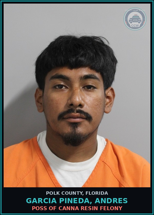 Booking mugshot of GARCIA PINEDA, ANDRES in Polk County