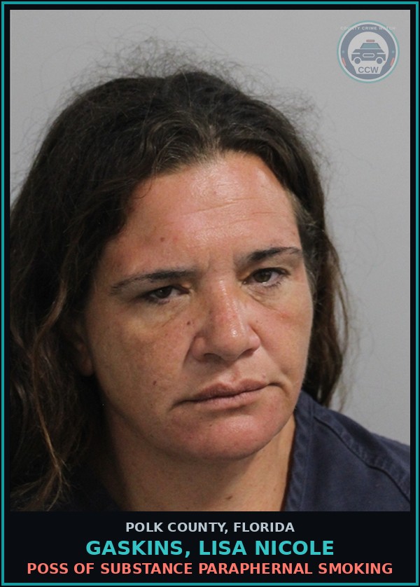 Booking mugshot of GASKINS, LISA NICOLE in Polk County
