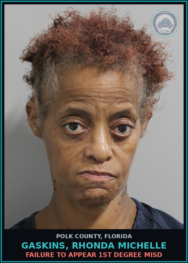 Booking mugshot of GASKINS, RHONDA MICHELLE in Polk County