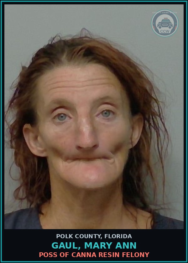 Booking mugshot of GAUL, MARY ANN in Polk County