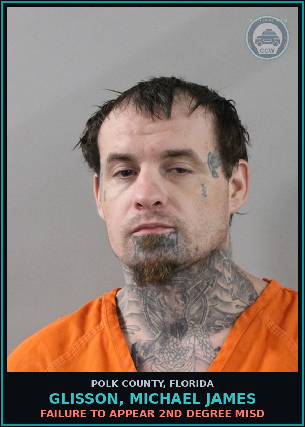 Booking mugshot of GLISSON, MICHAEL JAMES in Polk County