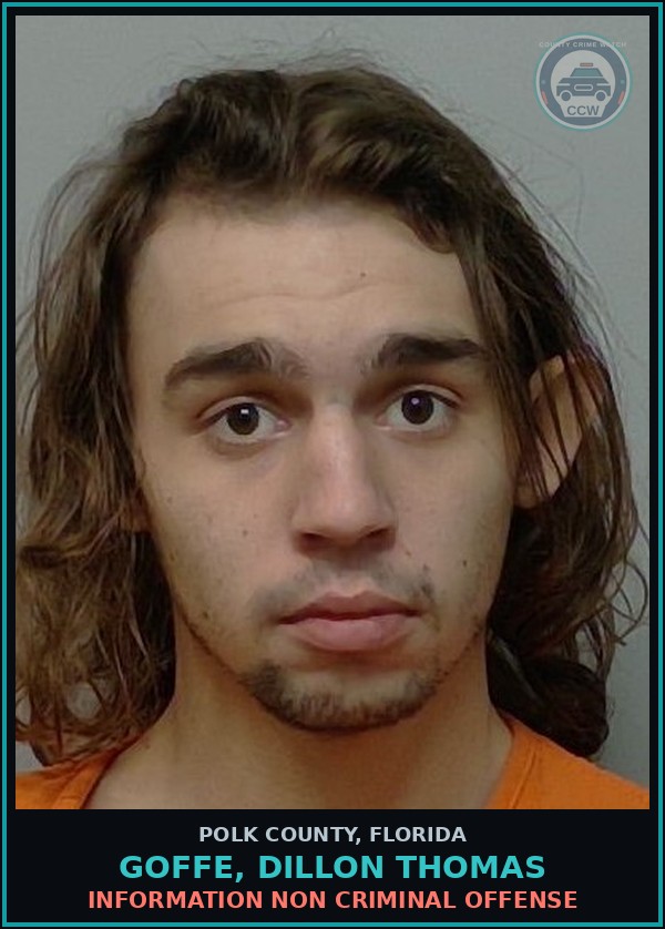 Booking mugshot of GOFFE, DILLON THOMAS in Polk County