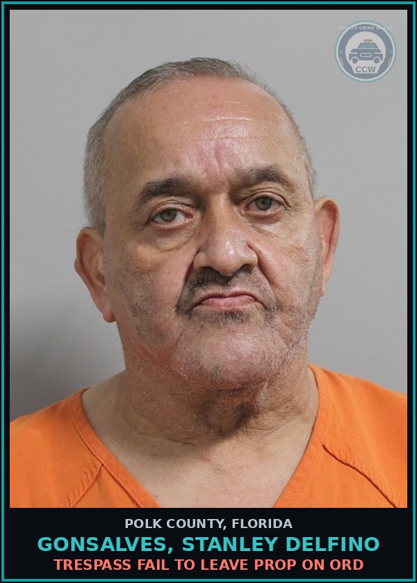 Booking mugshot of GONSALVES, STANLEY DELFINO in Polk County