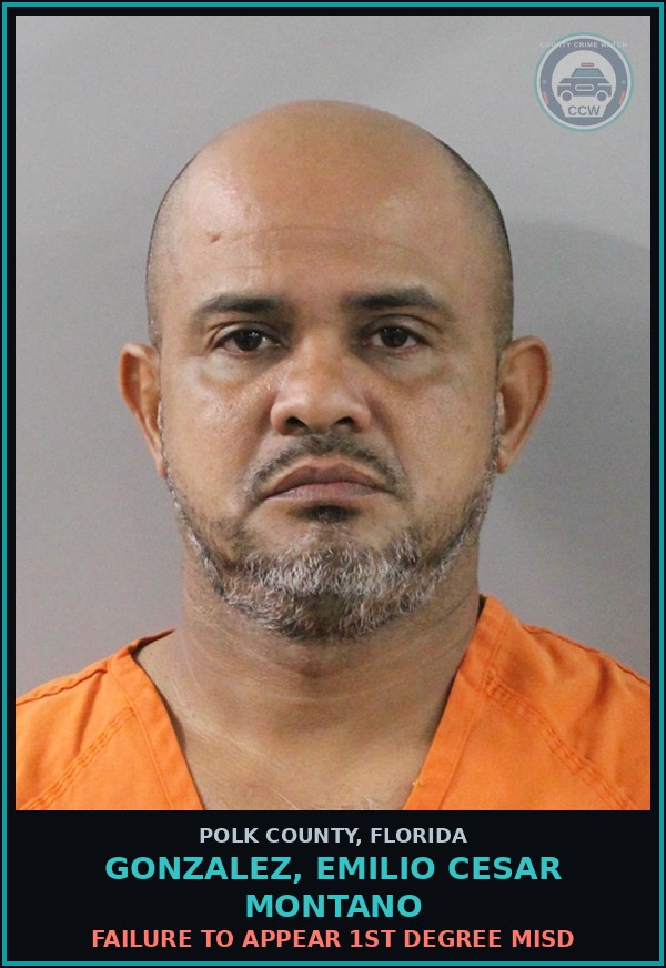 Booking mugshot of GONZALEZ, EMILIO CESAR MONTANO in Polk County