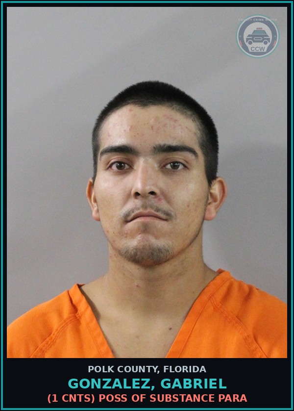 Booking mugshot of GONZALEZ, GABRIEL in Polk County