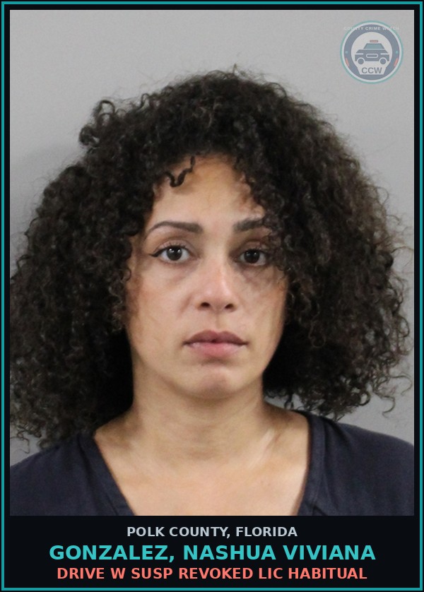 Booking mugshot of GONZALEZ, NASHUA VIVIANA in Polk County