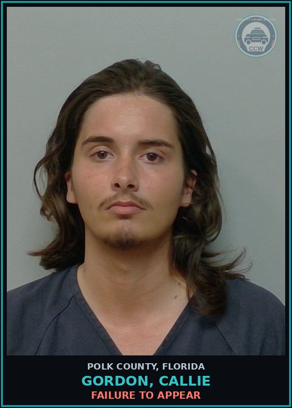 Booking mugshot of GORDON, CALLIE in Polk County