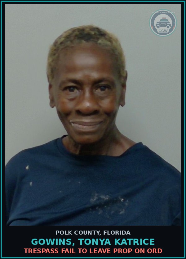 Booking mugshot of GOWINS, TONYA KATRICE in Polk County
