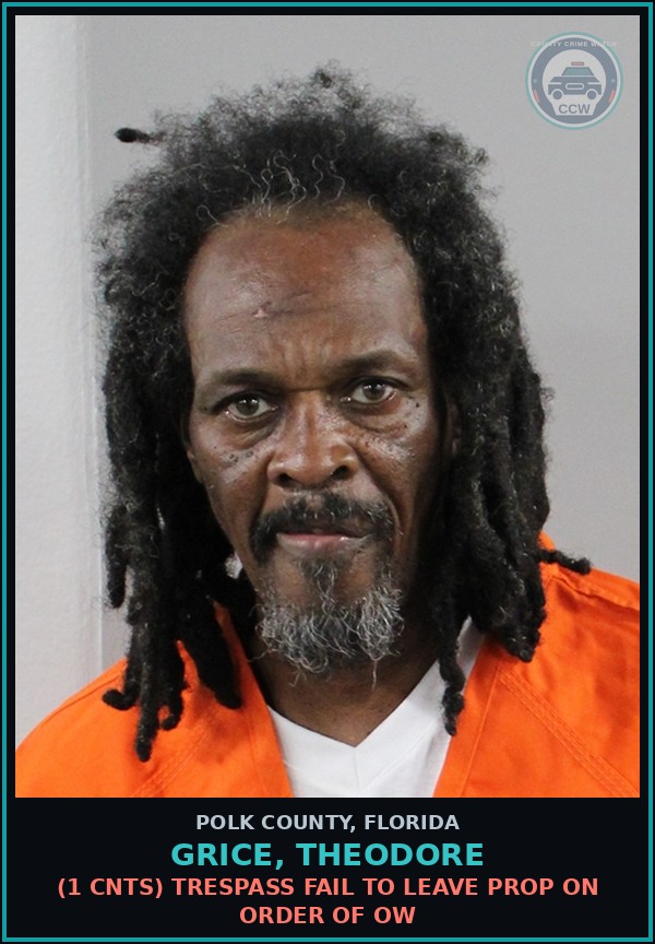 Booking mugshot of GRICE, THEODORE in Polk County