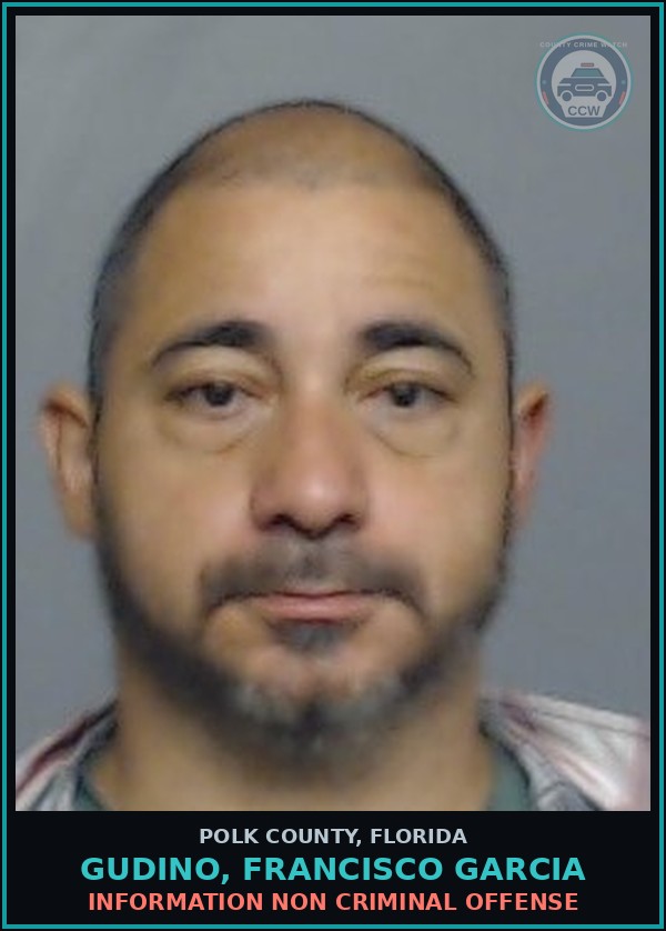 Booking mugshot of GUDINO, FRANCISCO GARCIA in Polk County
