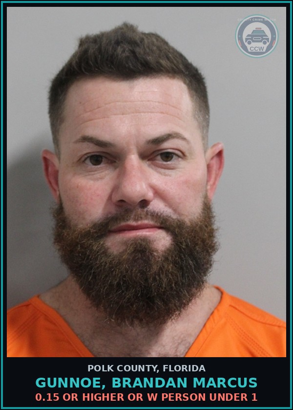 Booking mugshot of GUNNOE, BRANDAN MARCUS in Polk County