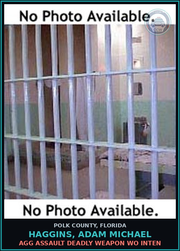 Booking mugshot of HAGGINS, ADAM MICHAEL in Polk County