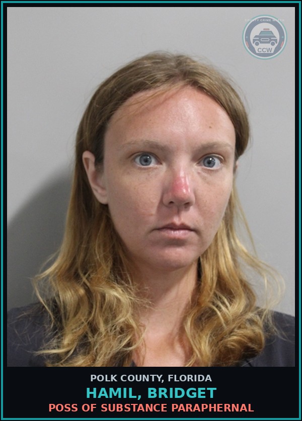 Booking mugshot of HAMIL, BRIDGET in Polk County