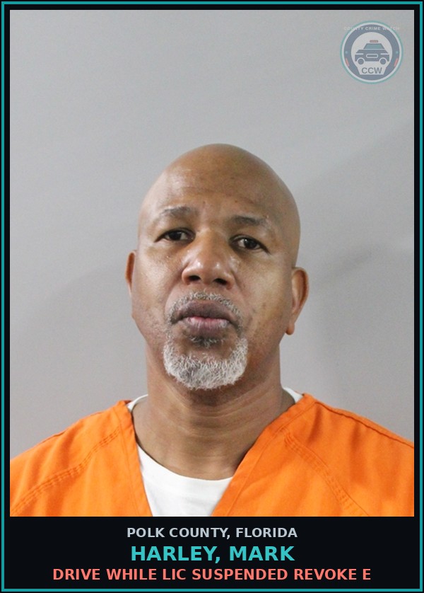 Booking mugshot of HARLEY, MARK in Polk County