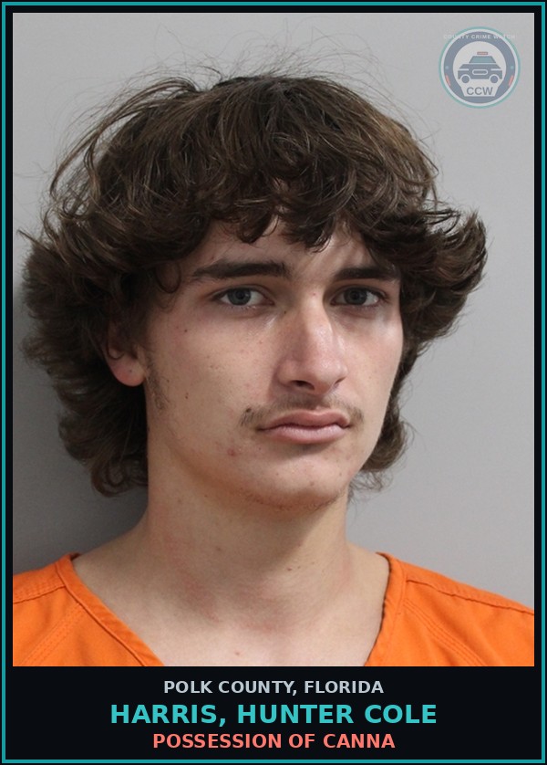 Booking mugshot of HARRIS, HUNTER COLE in Polk County