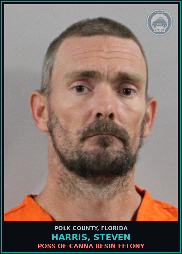 Booking mugshot of HARRIS, STEVEN in Polk County