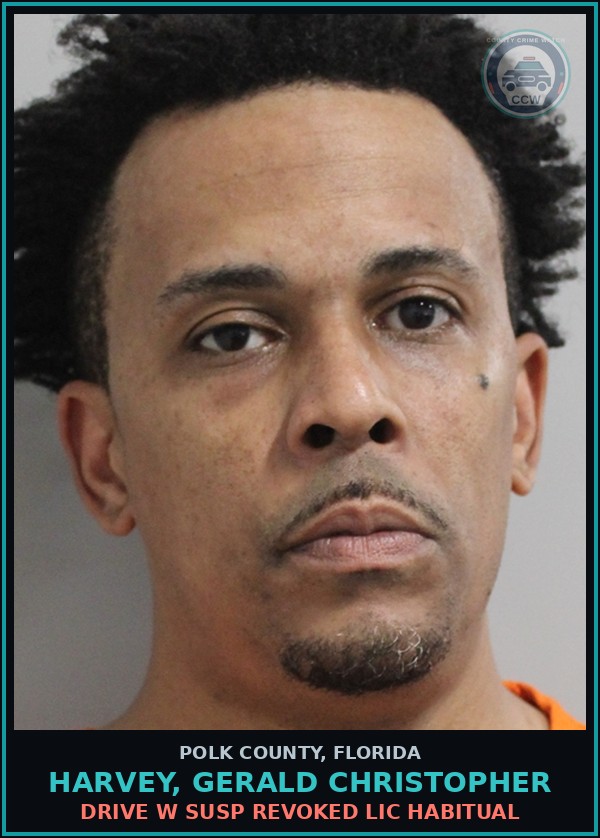 Booking mugshot of HARVEY, GERALD CHRISTOPHER in Polk County