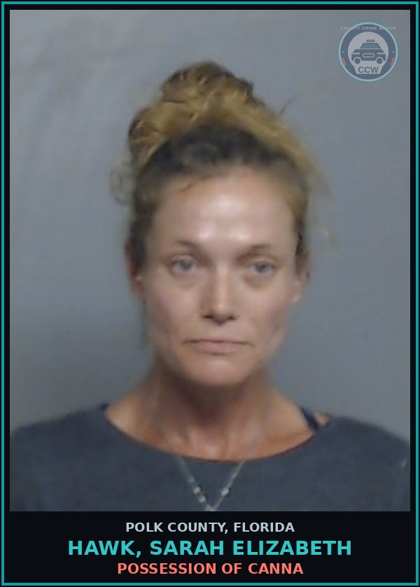 Booking mugshot of HAWK, SARAH ELIZABETH in Polk County
