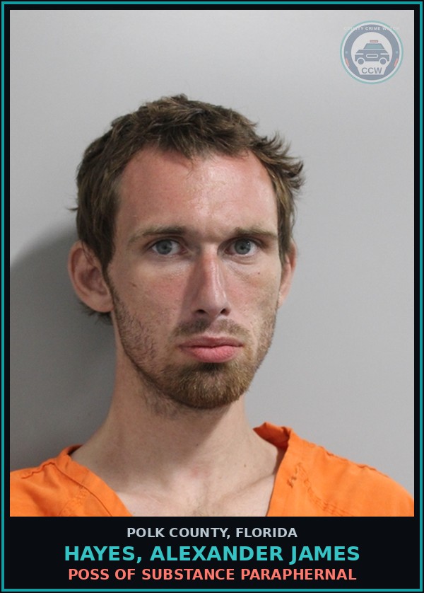 Booking mugshot of HAYES, ALEXANDER JAMES in Polk County