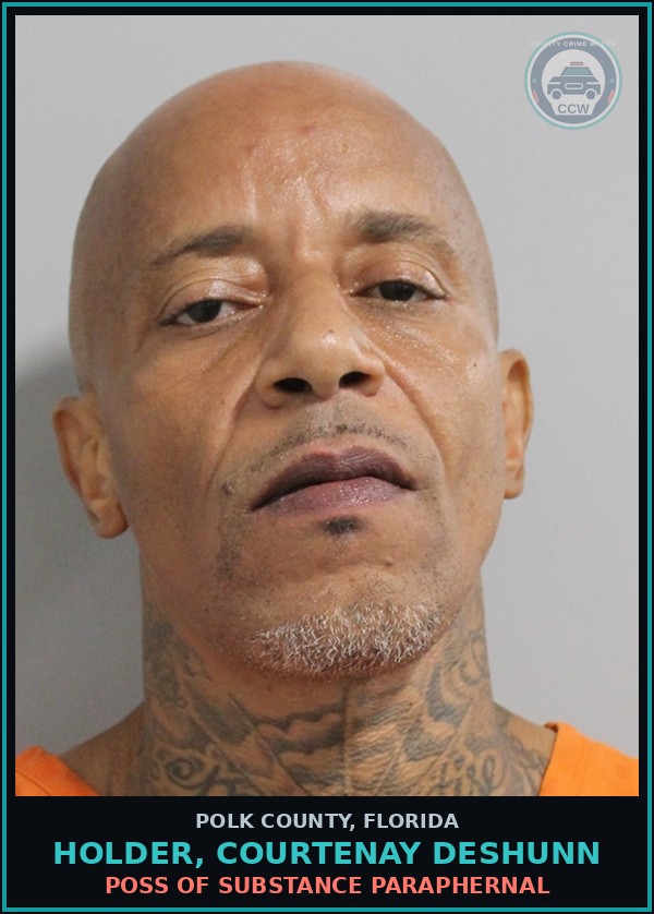 Booking mugshot of HOLDER, COURTENAY DESHUNN in Polk County