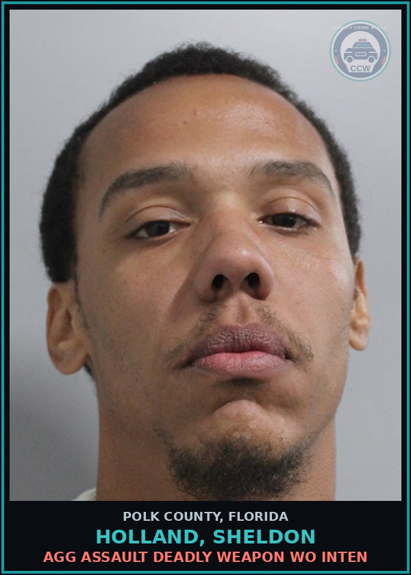 Booking mugshot of HOLLAND, SHELDON in Polk County
