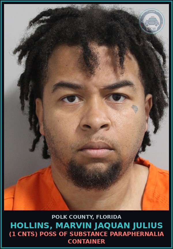 Booking mugshot of HOLLINS, MARVIN JAQUAN JULIUS in Polk County