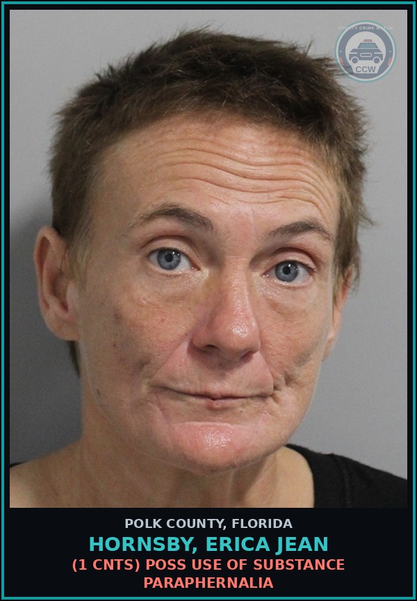 Booking mugshot of HORNSBY, ERICA JEAN in Polk County
