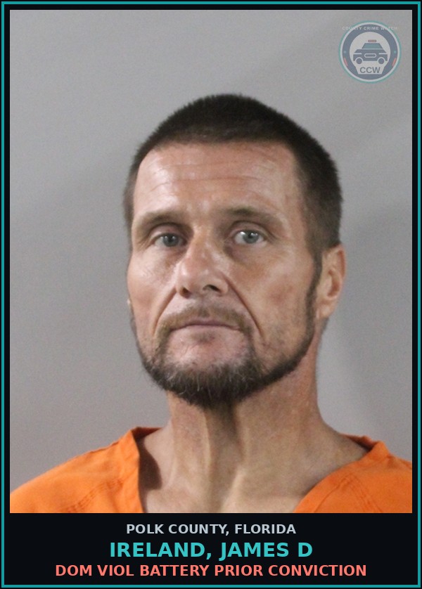 Booking mugshot of IRELAND, JAMES D in Polk County