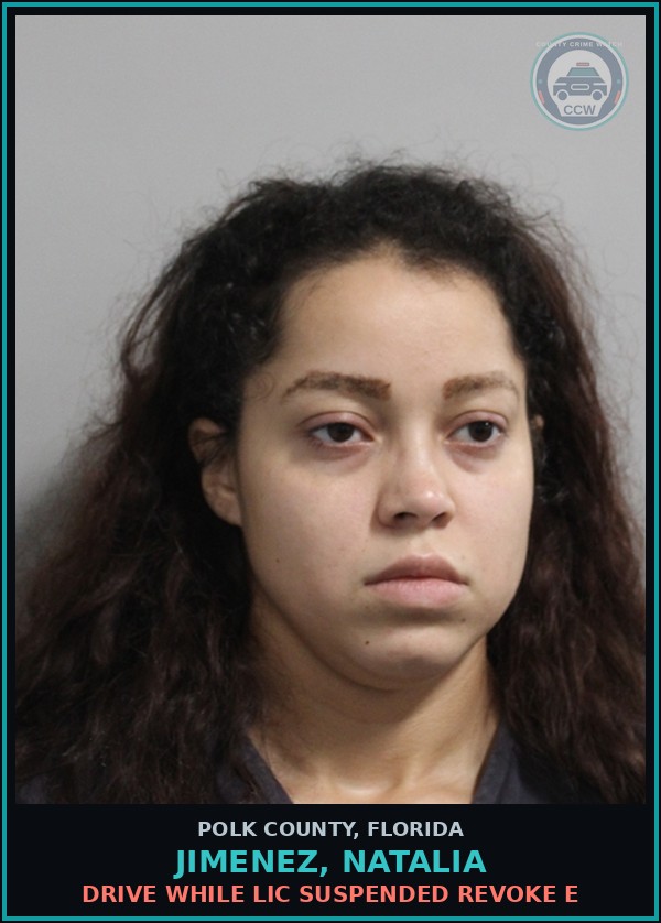 Booking mugshot of JIMENEZ, NATALIA in Polk County