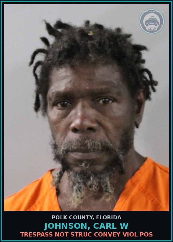 Booking mugshot of JOHNSON, CARL W in Polk County