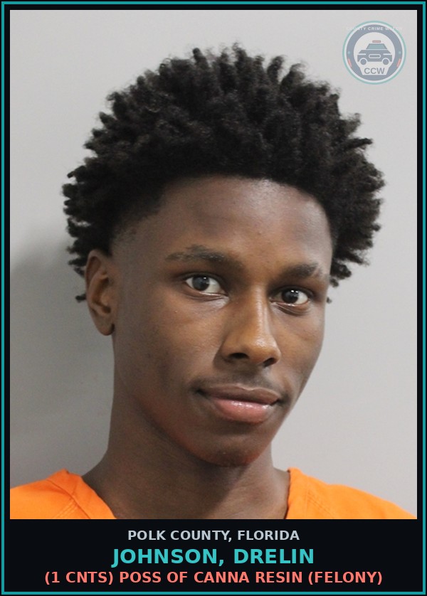 Booking mugshot of JOHNSON, DRELIN in Polk County