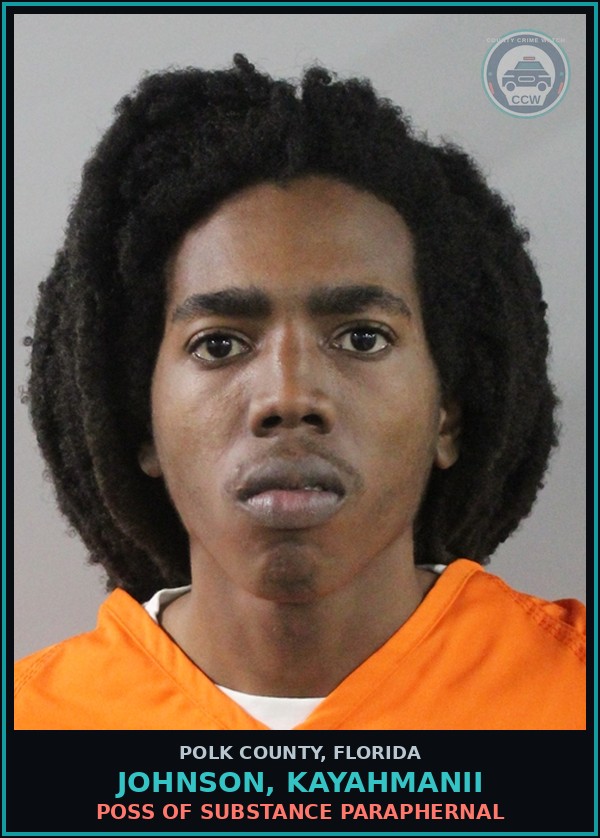 Booking mugshot of JOHNSON, KAYAHMANII in Polk County