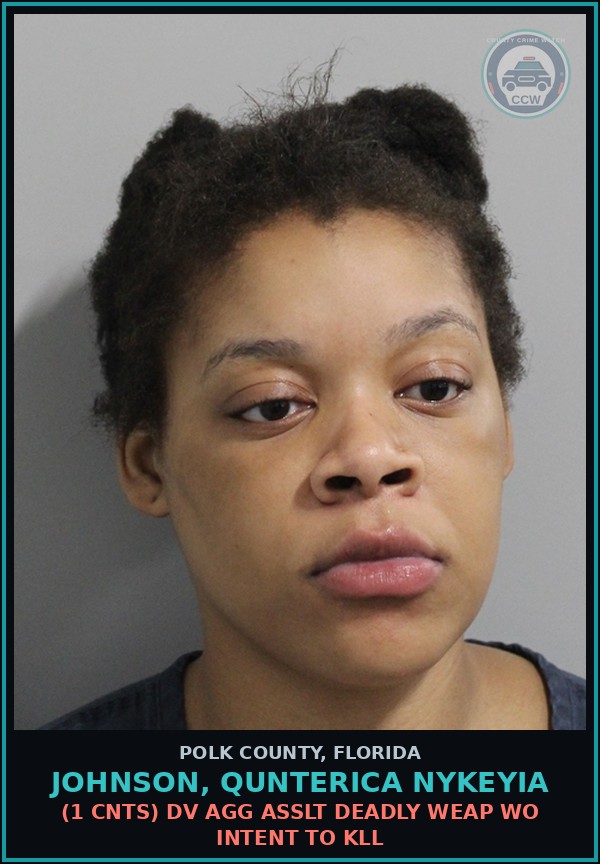 Booking mugshot of JOHNSON, QUNTERICA NYKEYIA in Polk County