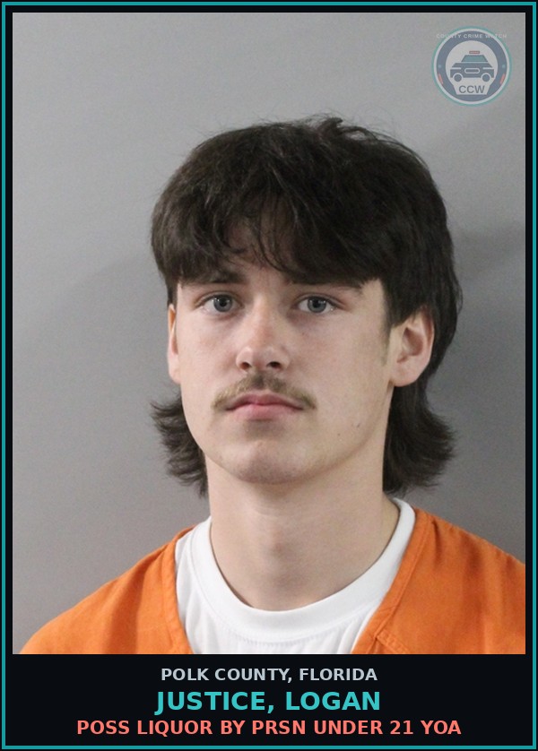 Booking mugshot of JUSTICE, LOGAN in Polk County