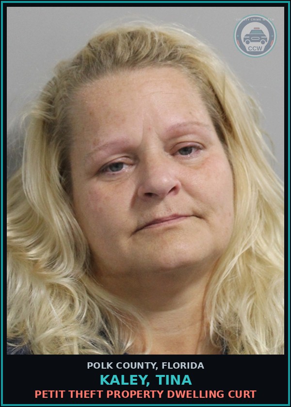 Booking mugshot of KALEY, TINA in Polk County