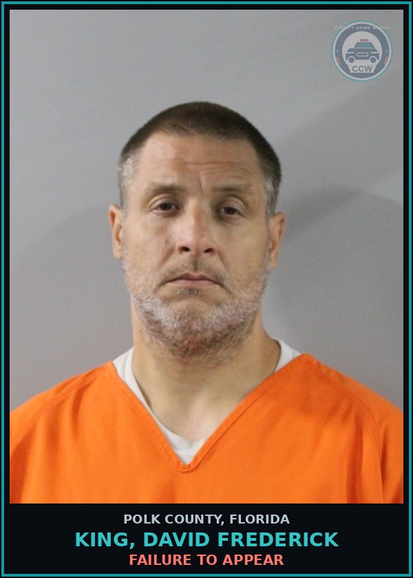 Booking mugshot of KING, DAVID FREDERICK in Polk County