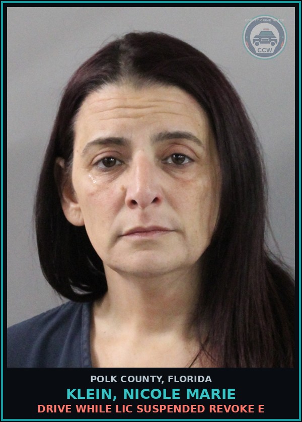 Booking mugshot of KLEIN, NICOLE MARIE in Polk County