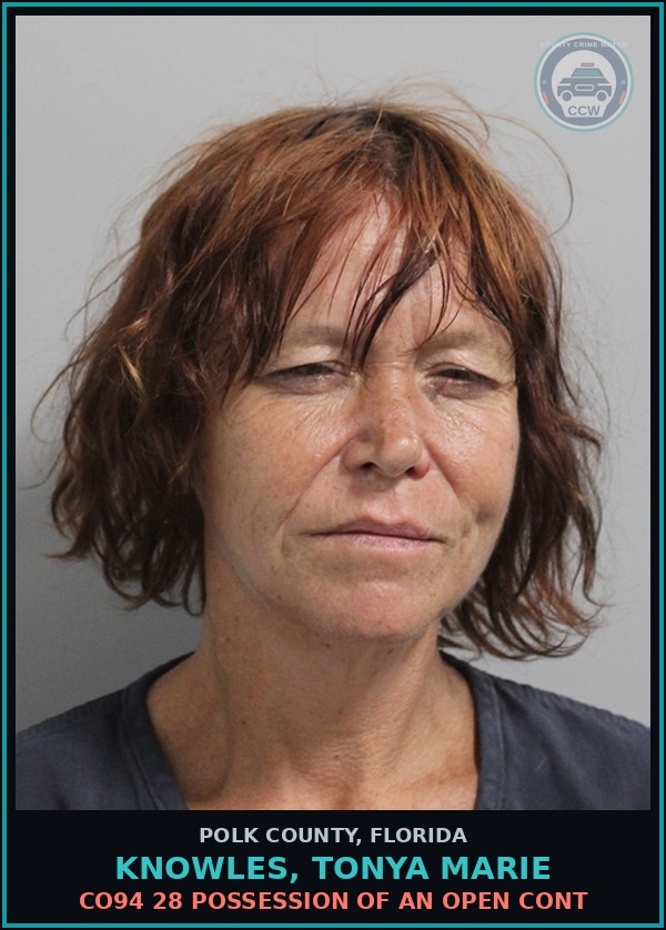 Booking mugshot of KNOWLES, TONYA MARIE in Polk County