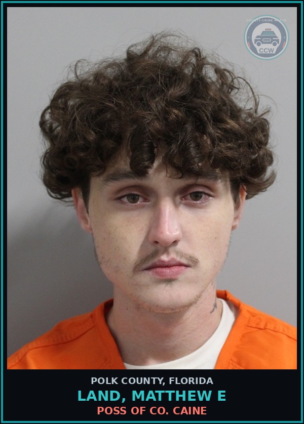 Booking mugshot of LAND, MATTHEW E in Polk County
