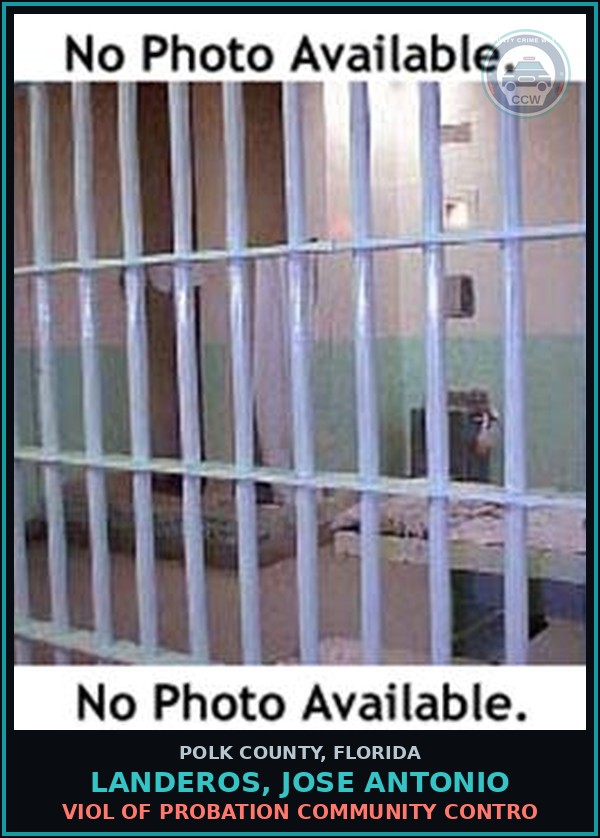 Booking mugshot of LANDEROS, JOSE ANTONIO in Polk County