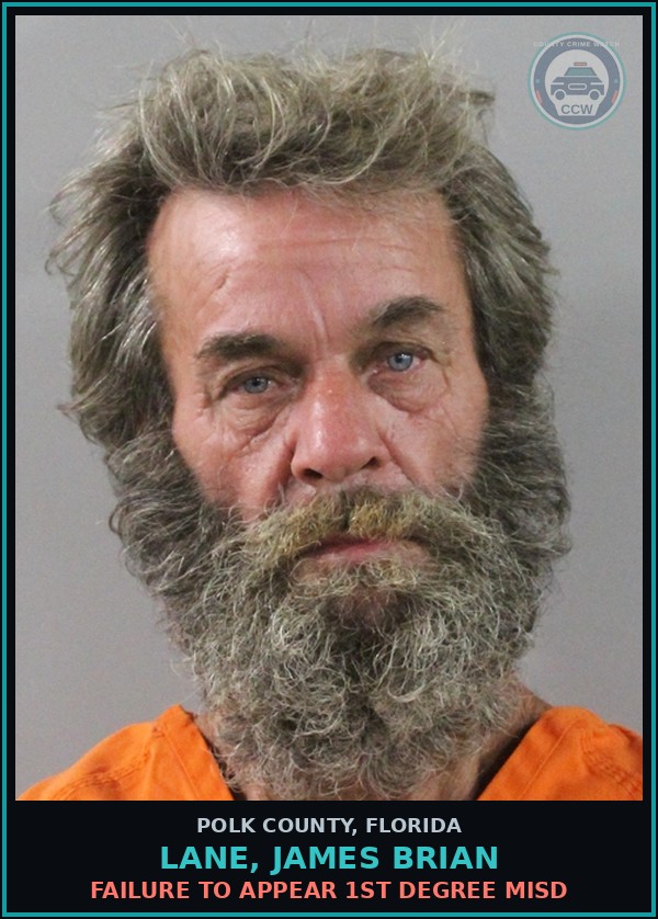 Booking mugshot of LANE, JAMES BRIAN in Polk County