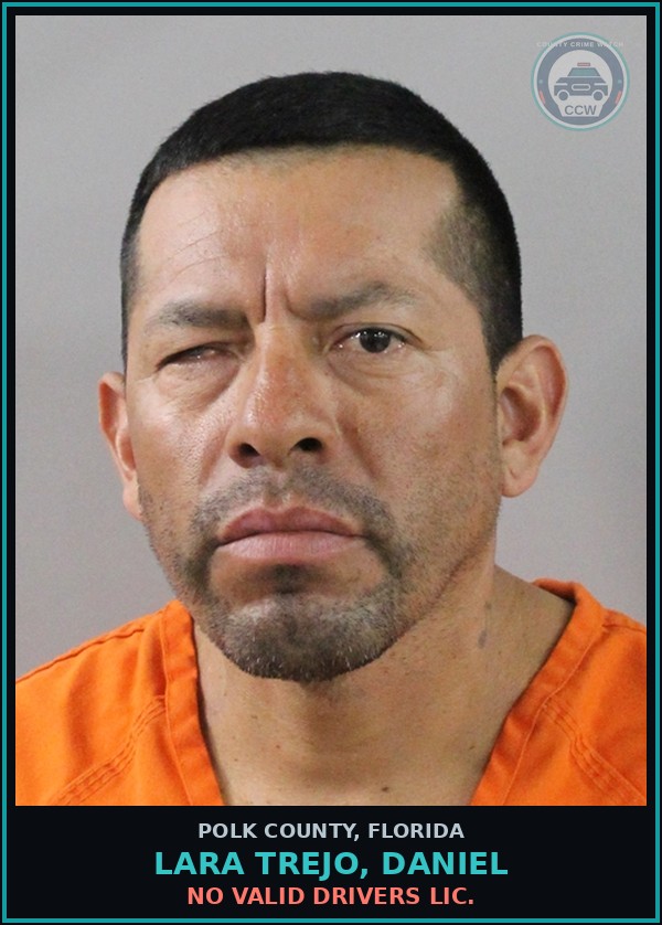 Booking mugshot of LARA TREJO, DANIEL in Polk County