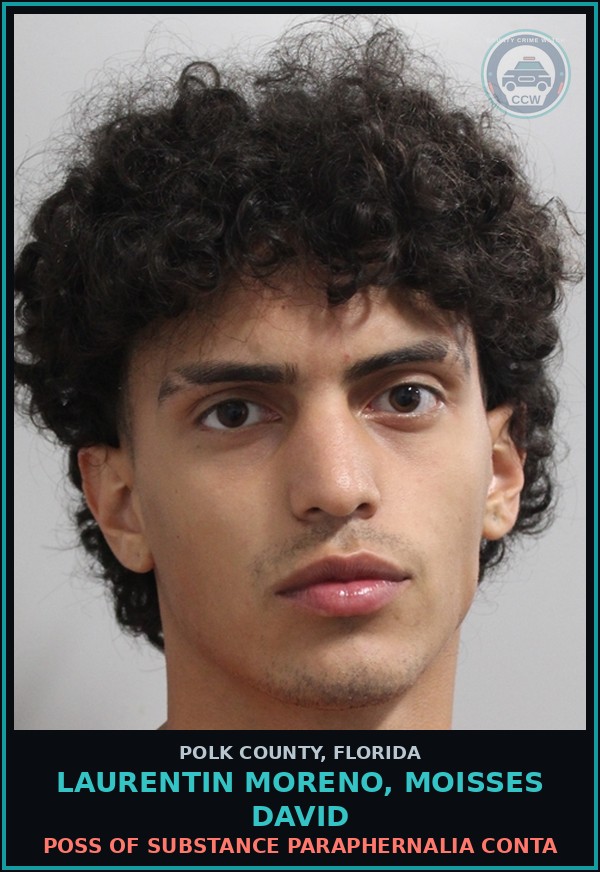 Booking mugshot of LAURENTIN MORENO, MOISSES DAVID in Polk County