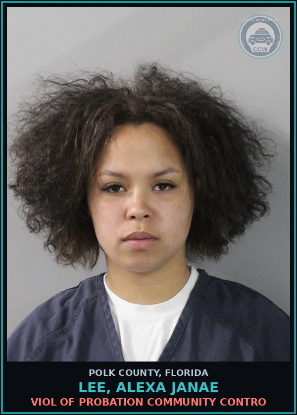 Booking mugshot of LEE, ALEXA JANAE in Polk County