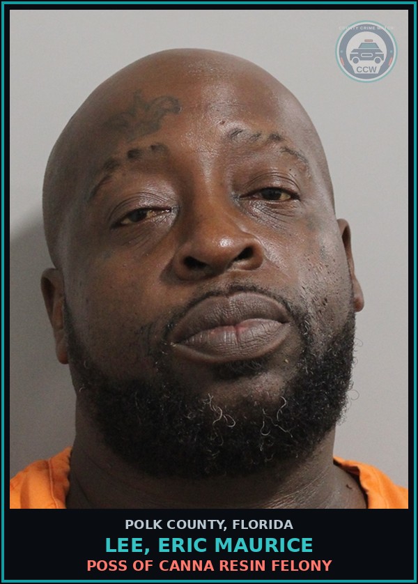 Booking mugshot of LEE, ERIC MAURICE in Polk County