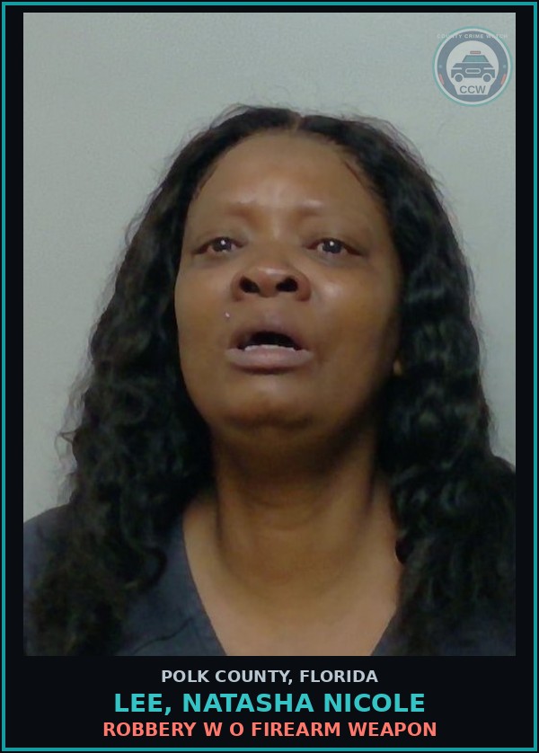 Booking mugshot of LEE, NATASHA NICOLE in Polk County