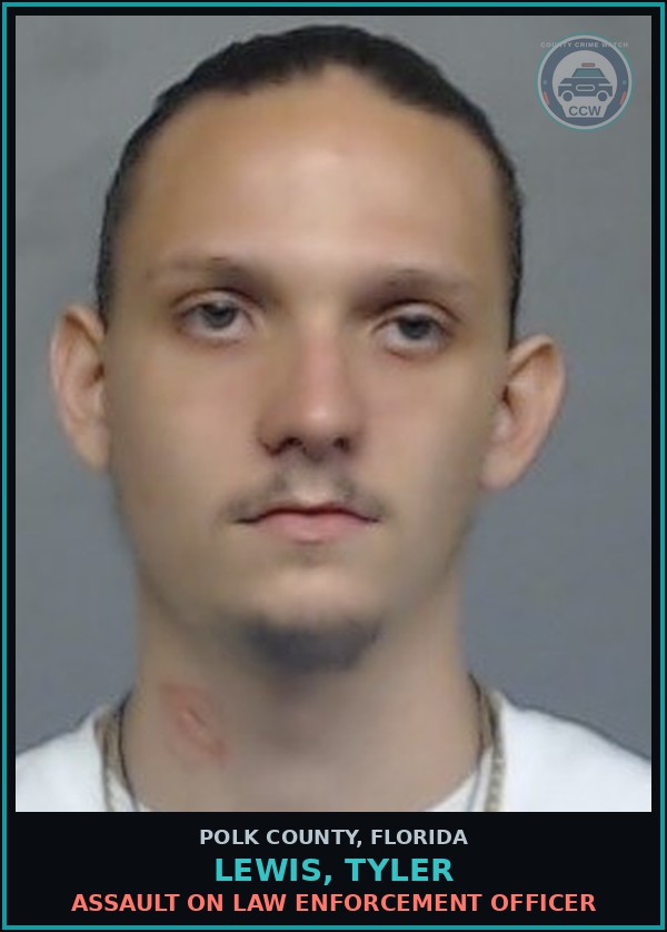 Booking mugshot of LEWIS, TYLER in Polk County