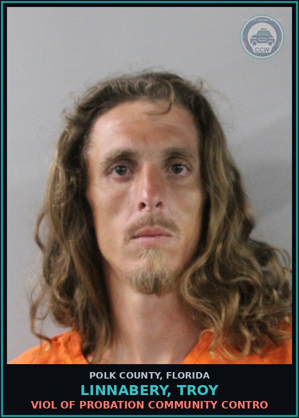Booking mugshot of LINNABERY, TROY in Polk County